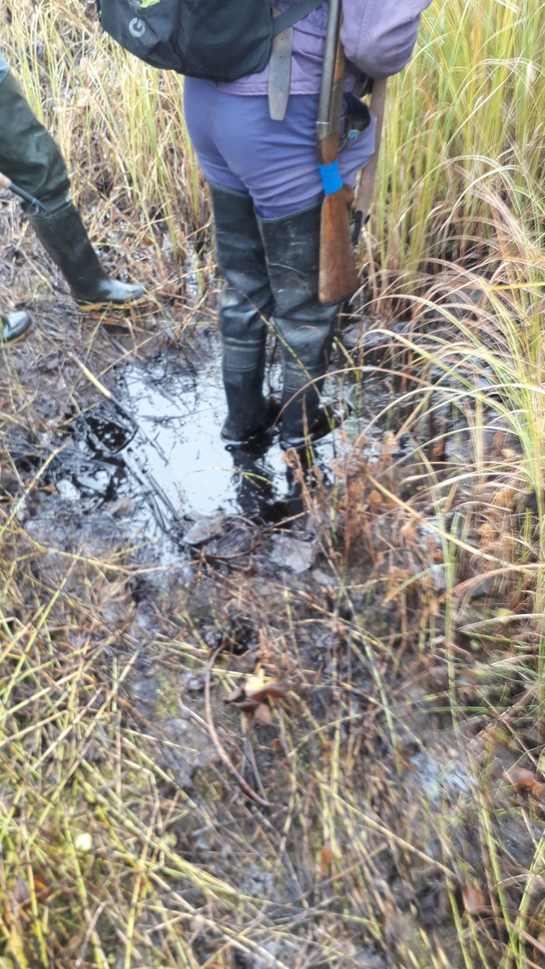 Ухтинцы выложили фото, как по реке "сплавляется" нефть