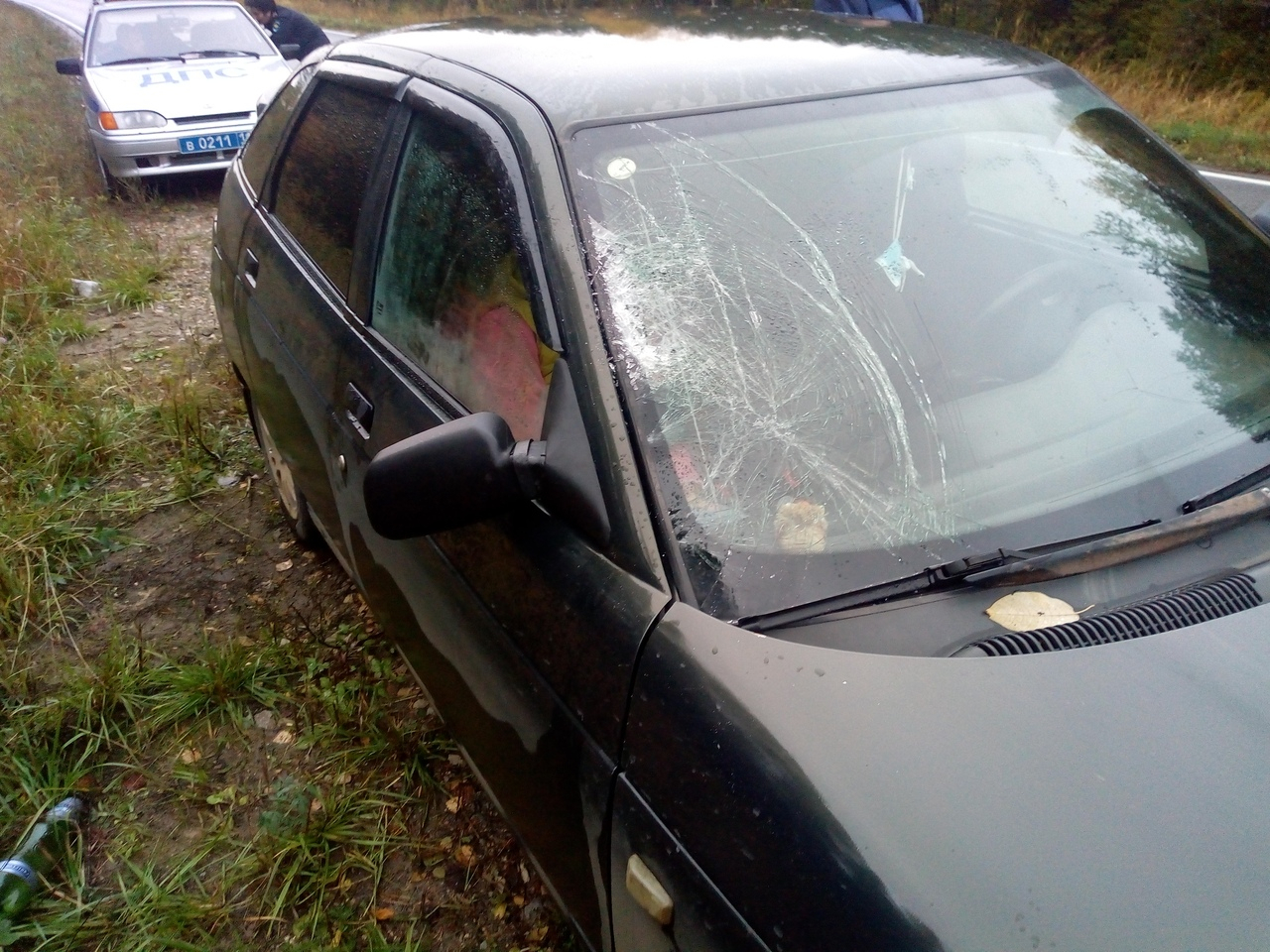 В Коми женщина встала посреди дороги: ее сбила машина