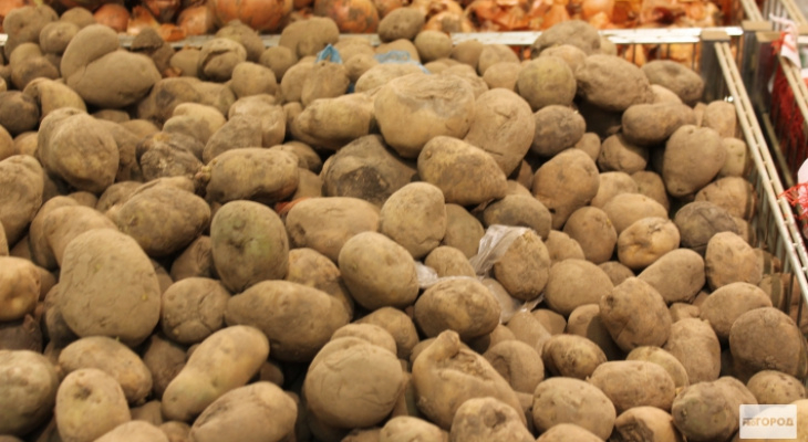 В Коми хвалят урожай картофеля, капусты и моркови