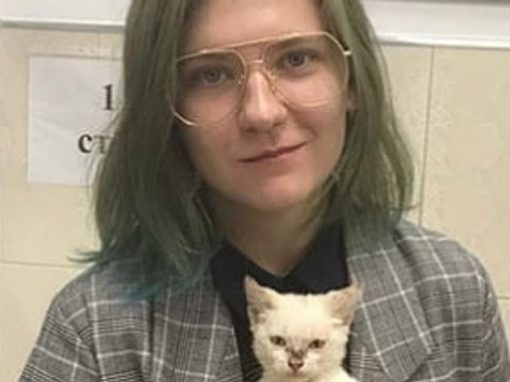Студентка заплатила крупный долг приюта, чтобы пристроить бездомного котенка