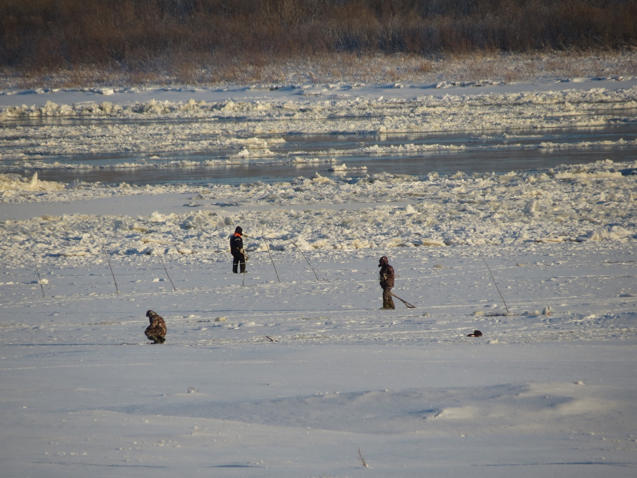 Печорские рыбаки вышли на лед ловить рыбу