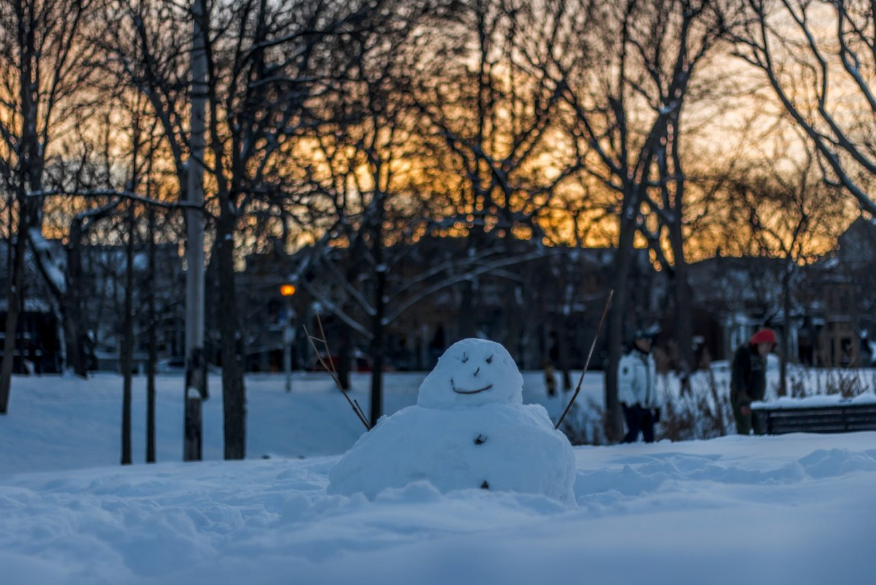 Айда лепить снеговиков: синоптики сказали, какая погода будет в Ухте на выходных