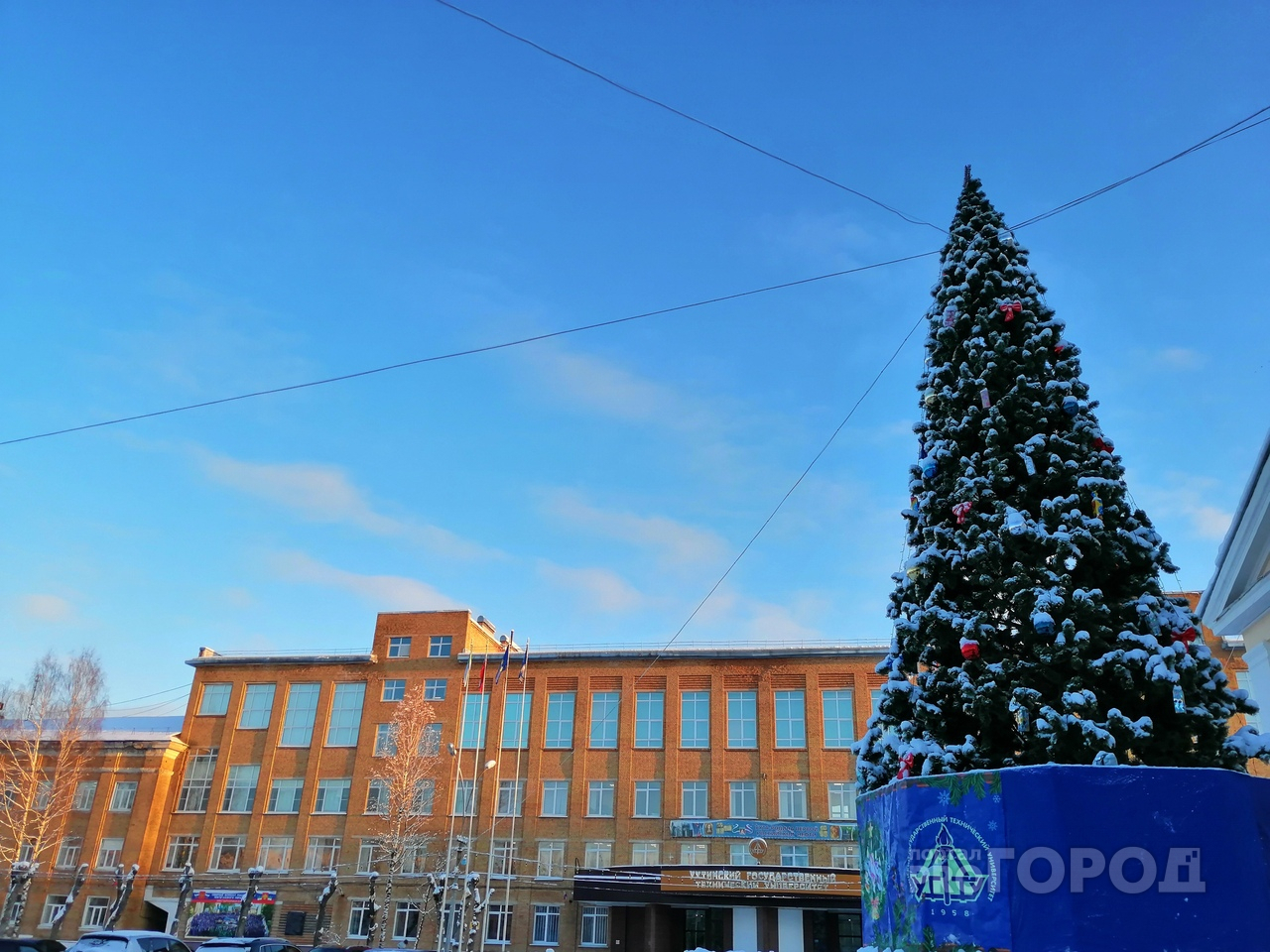 В Ухте установили первую новогоднюю елку (фоторепортаж)