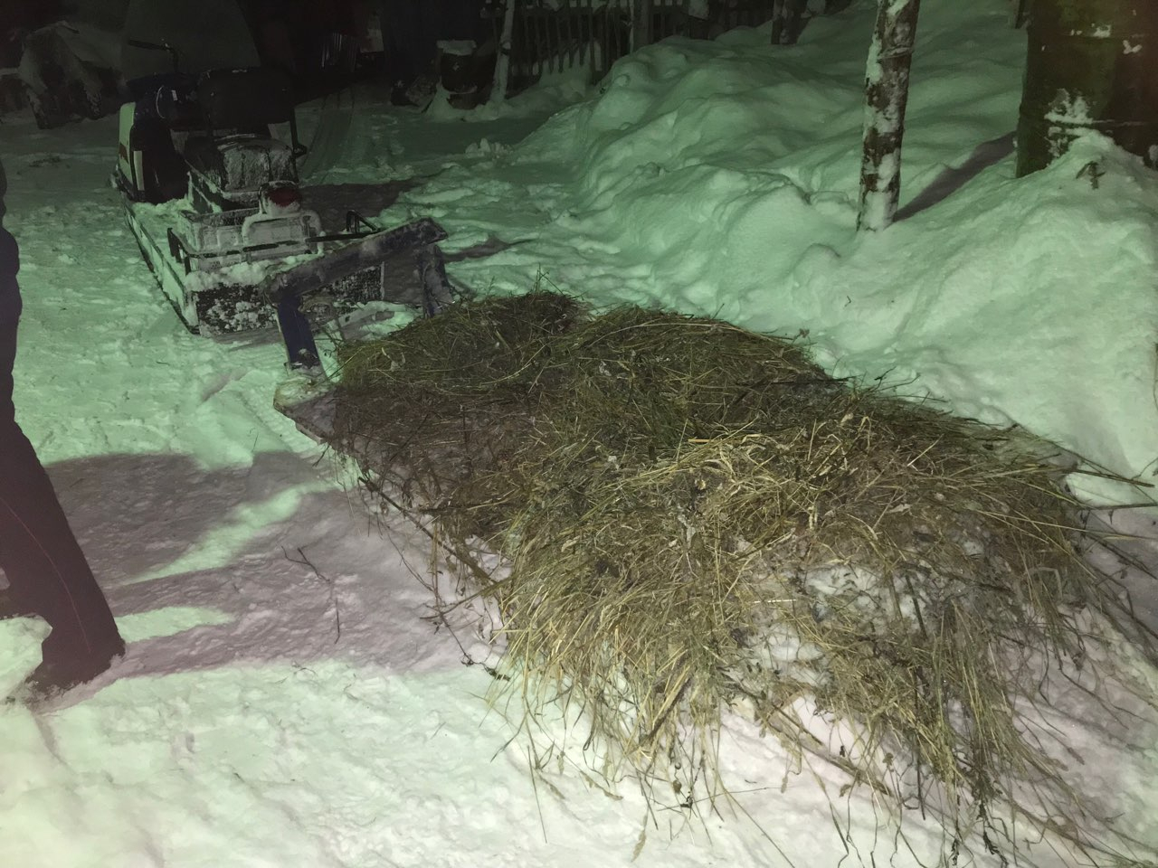 В Коми от снегохода на ходу отлетели сани и сломали пассажиру череп