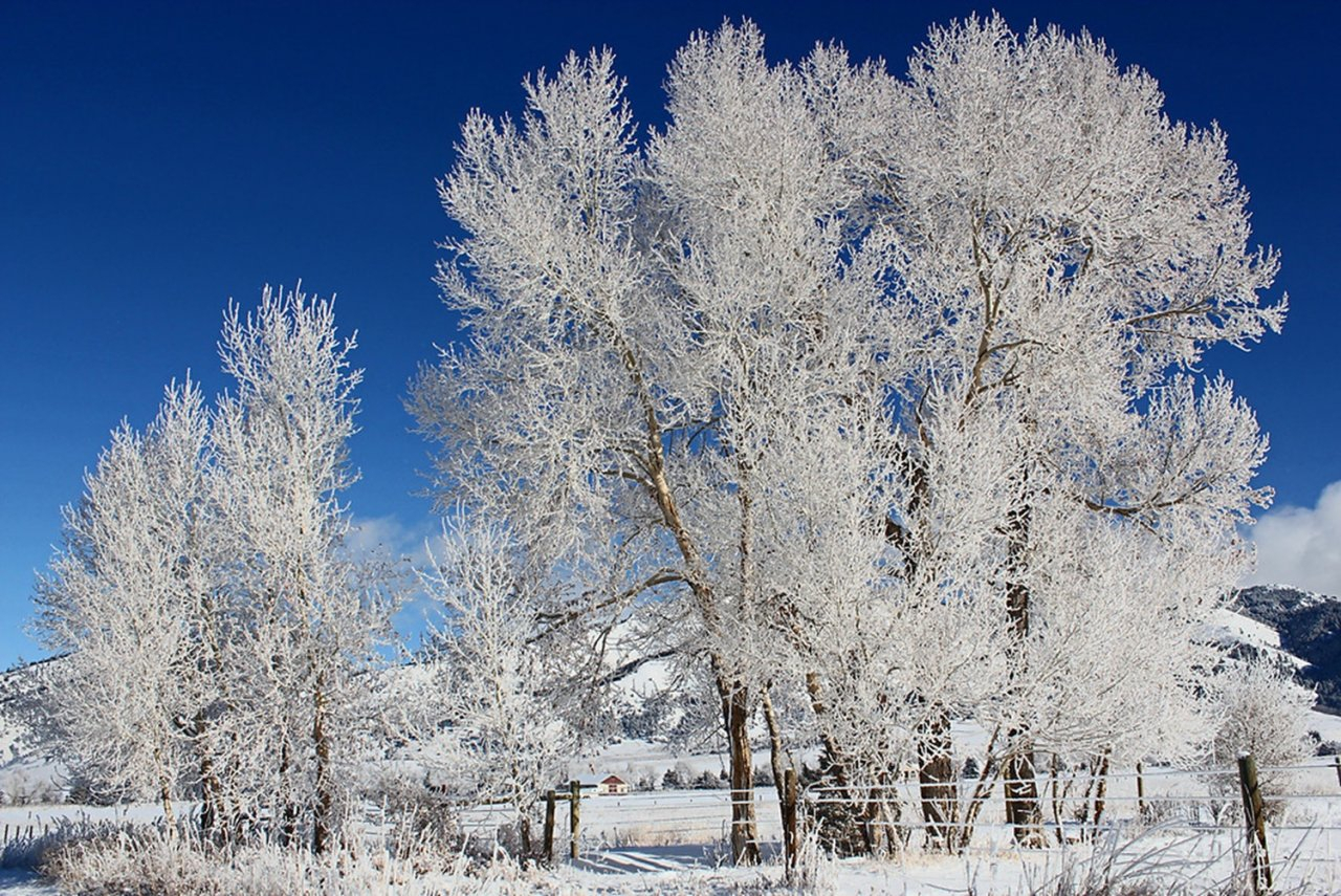 Повеяло зимой: синоптики рассказали о погоде в Ухте на рабочей неделе