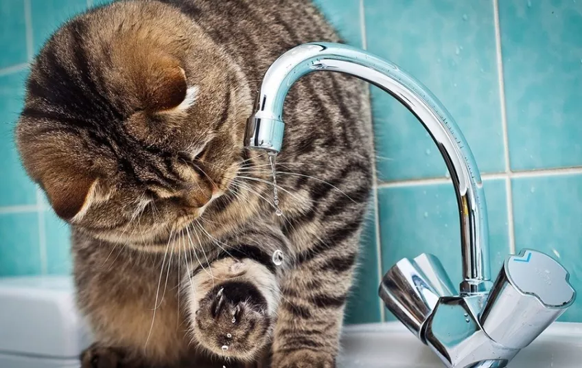 Фото к статье: Жители Ухты остались без холодной воды