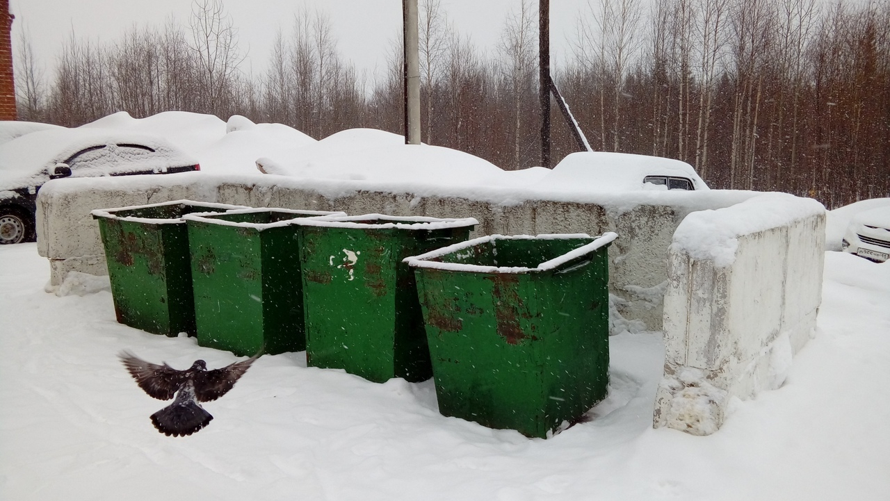 "Чистота и порядок": чиновники проверили наличие мусора во дворах Сосногорска