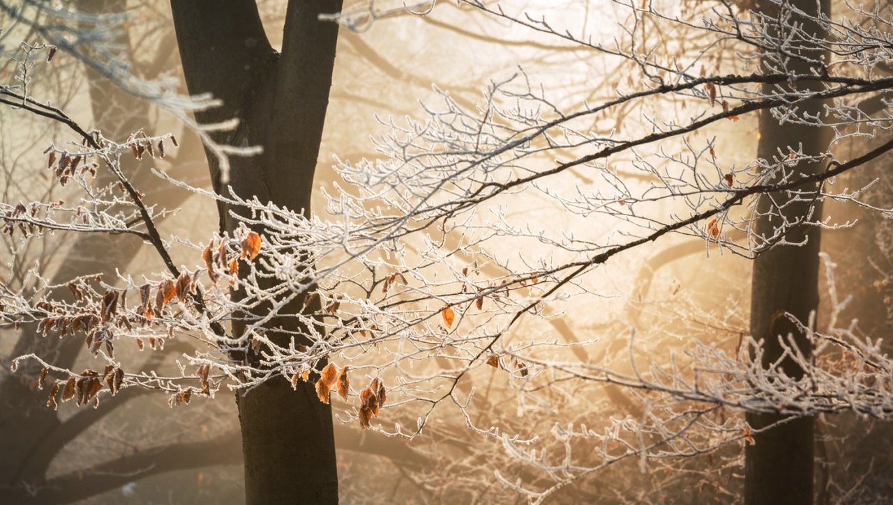 Весенние морозы: какая погода будет в Ухте в первые выходные марта