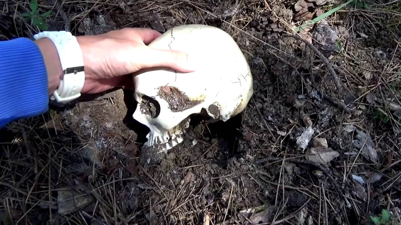 В лесу под Ухтой нашли кусок черепа уголовника