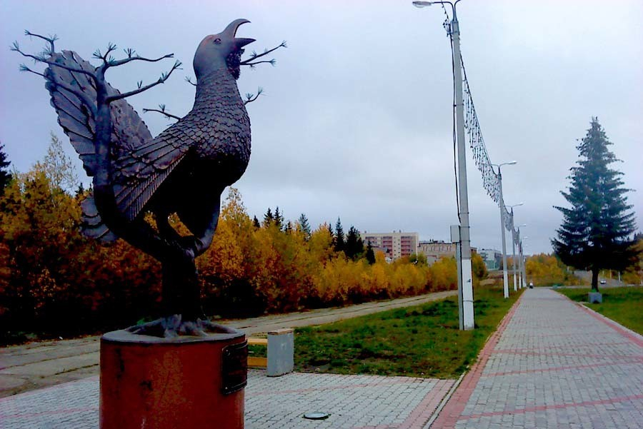 Названы проекты Сосногорского района, которые реализуют в этом году
