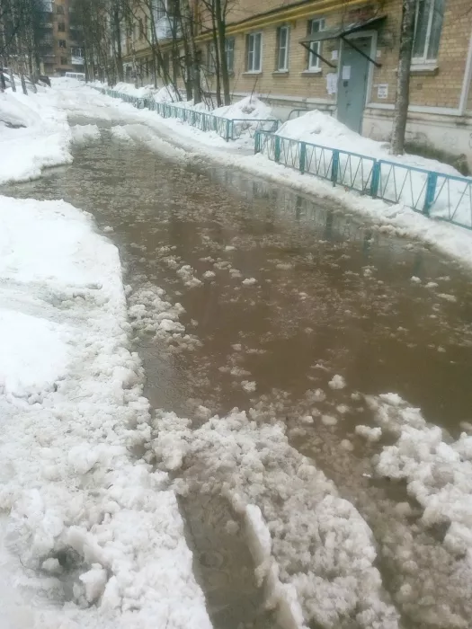 Фото к статье: Ухтинцы возмущены "кашей" во дворах и бездействием управляющей компании