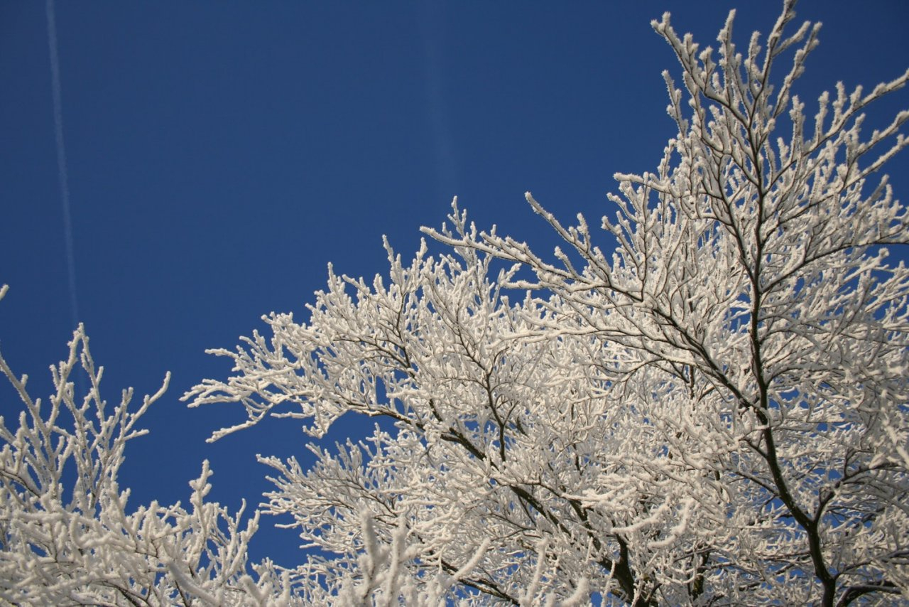 Метели и морозы до -27: какая погода будет в Ухте на рабочей неделе