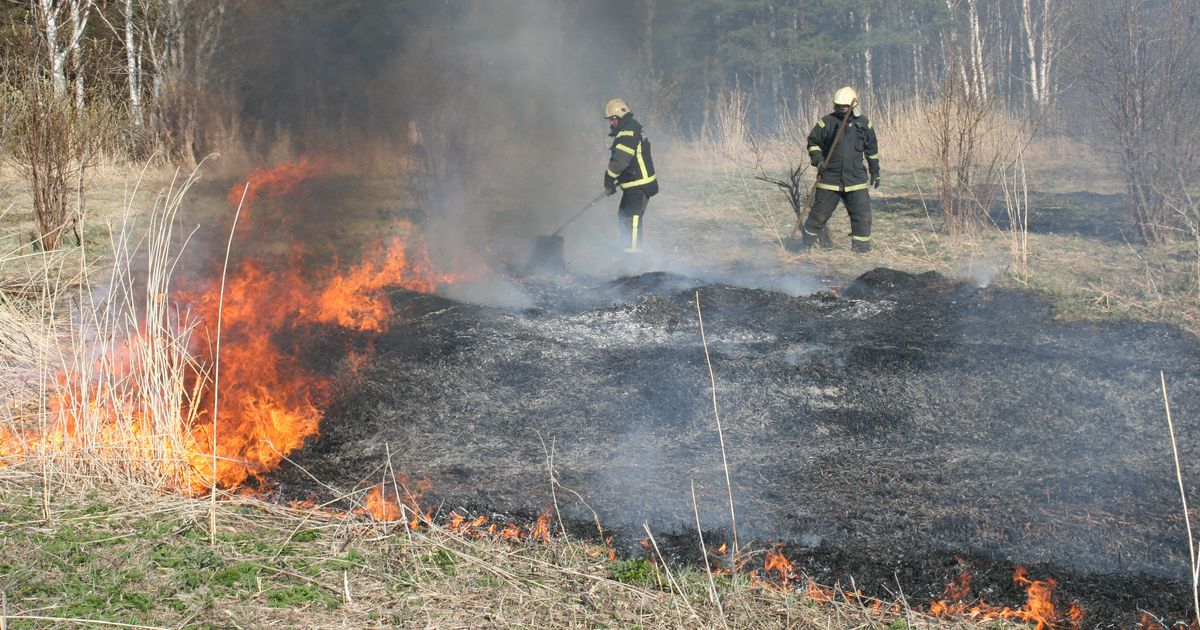 В Ухте из-за пожара выгорело 18 соток травы