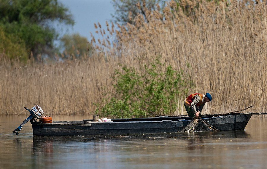 О пропавшем в Сосногорске рыбаке родственники заявили только спустя десять дней