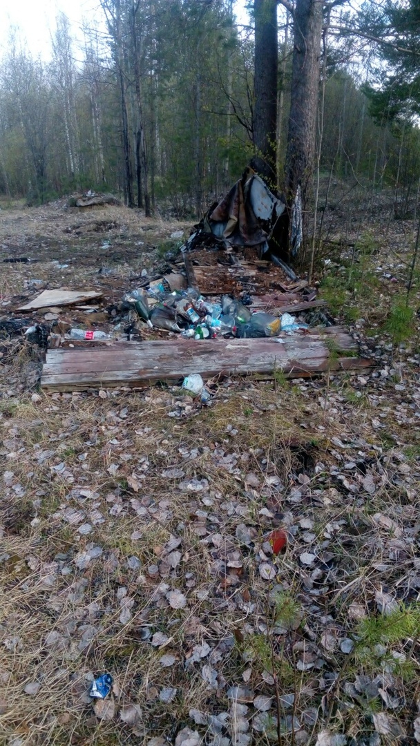 Ухтинка в ужасе: меньше чем за месяц лес на Зерюнова превратился в свалку