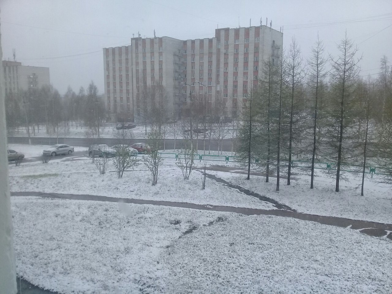 Горожанин о погоде: "Пришло лето! А год назад Ухта была завалена снегом"