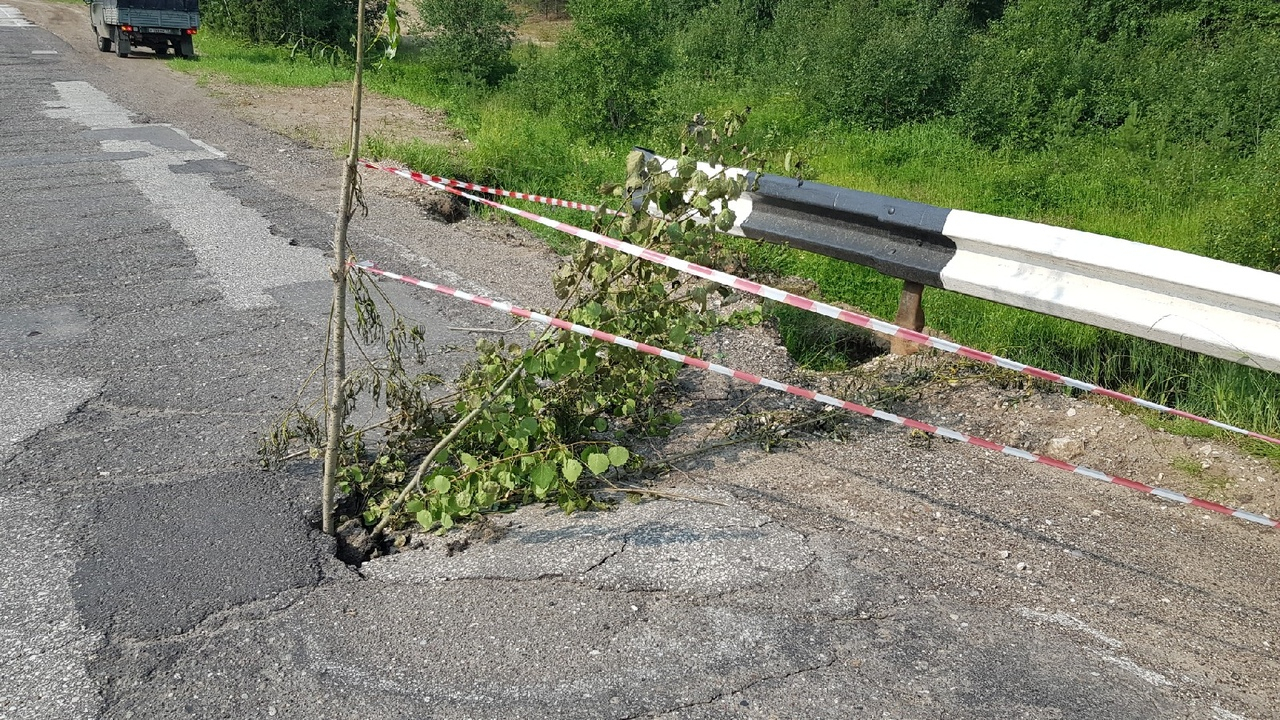 На дороге Сосногорск-Нижний Одес в ямах сажают деревья