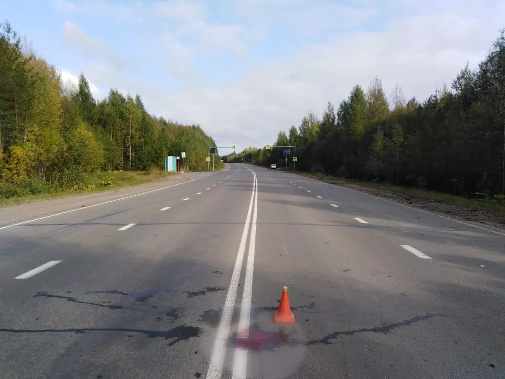 Фото к статье: В Коми ночью иномарка насмерть задавила лежащего мужчину