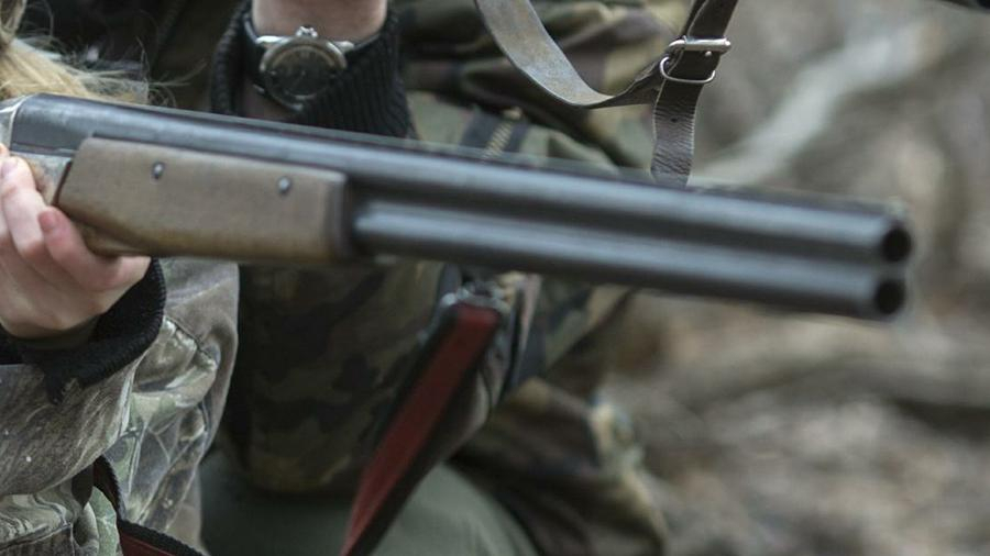 В Коми более 50 охотников вышли в патруль, чтобы защитить поселок от волков