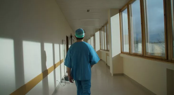 Фото к статье: В Коми 18 человек заболели опасными болезнями, передающихся клещами