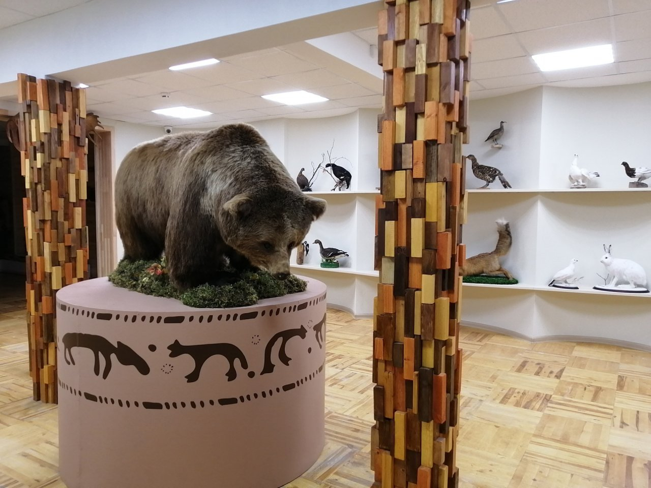Дети из Ухты изучат основы экологии через легенды о медведе