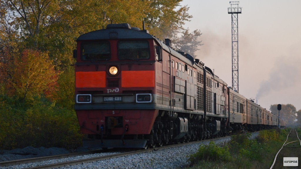 С поезда "Сыктывкар - Новороссийск" сняли 41-летнюю мошенницу из Коми