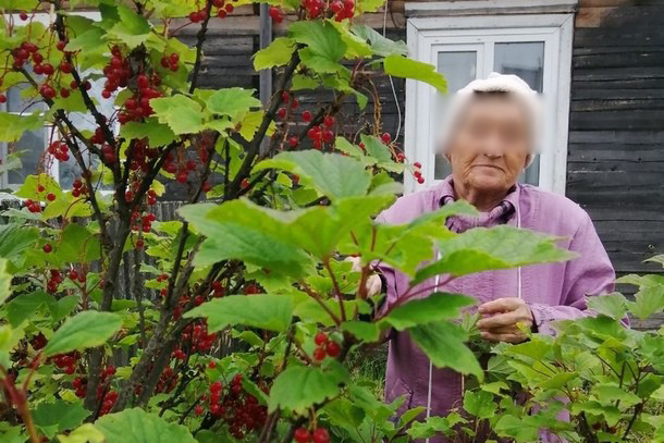 В Коми нашли мертвой 77-летнюю пропавшую бабушку