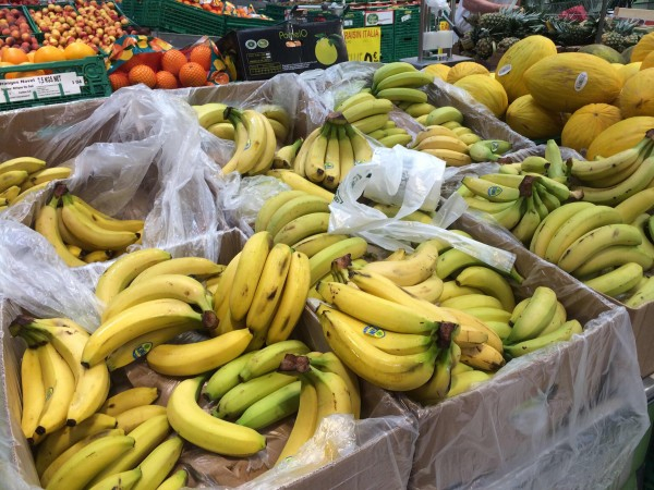 В Коми могут запретить эквадорские бананы из-за мухи-горбатки