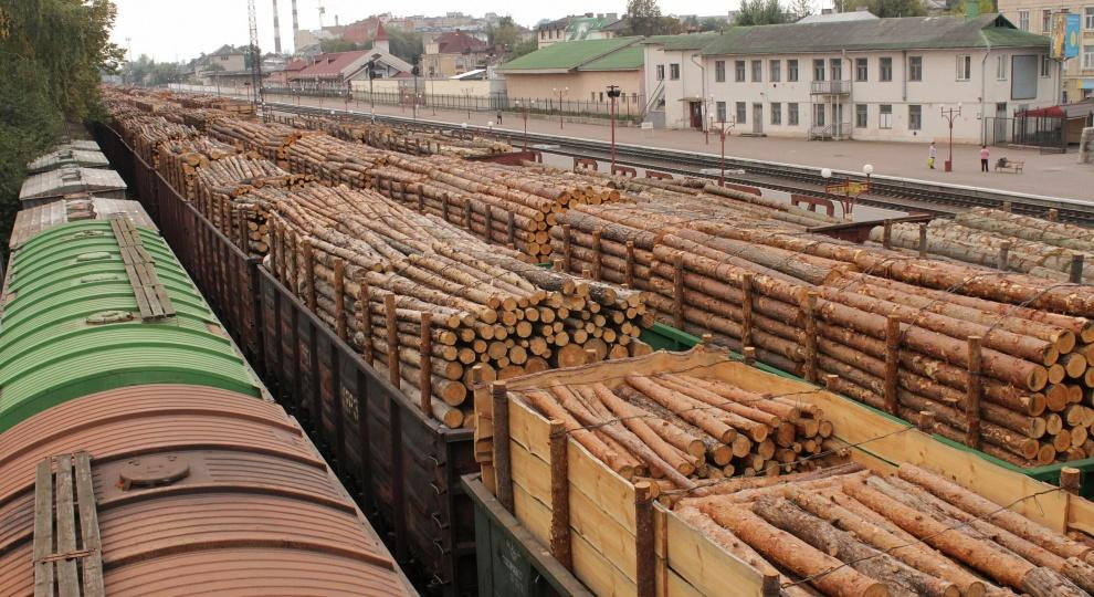 Коми больше всего вывозит лес в Китай