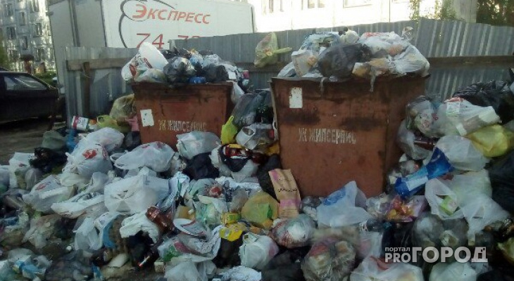 В Коми хотят внедрить раздельный сбор мусора к 2028 году