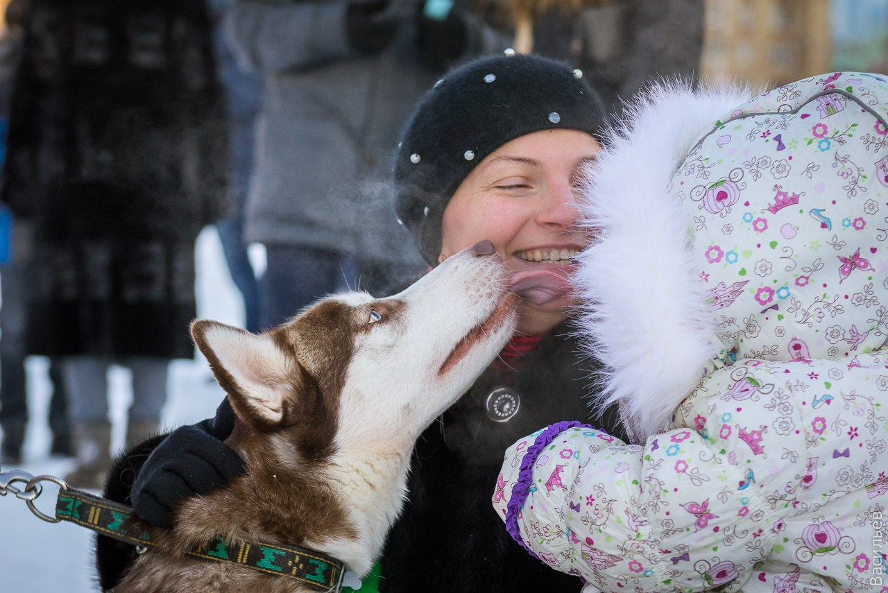 Ухтинцев приглашают на благотворительную акцию "Собака-обнимака 2.0"