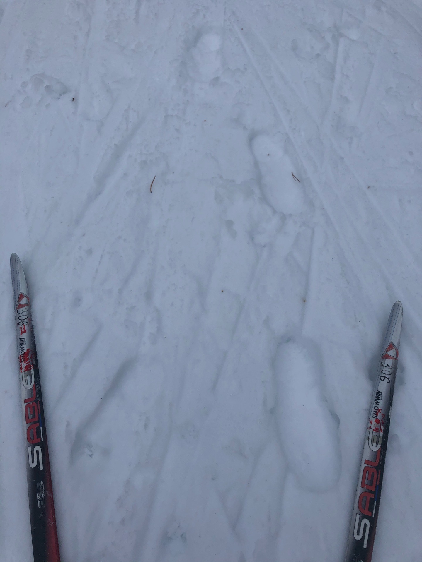 Накануне соревнований в ухтинском поселке испортили лыжню