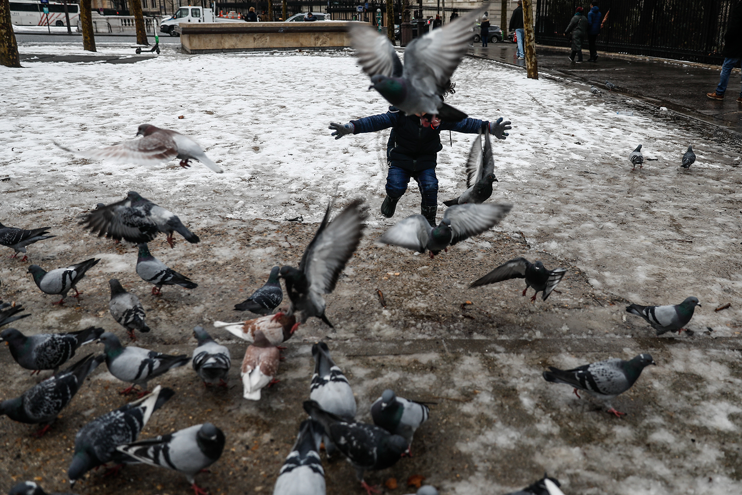 Россельхознадзор Коми: "Птичий грипп может занести в Россию"