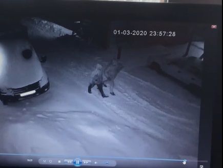 Ухтинец сам ищет грабителей, которые разобрали его машину