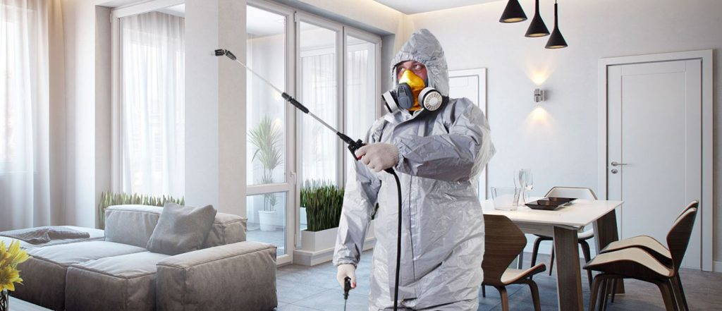 Как обезопасить квартиру от опасных вирусов?