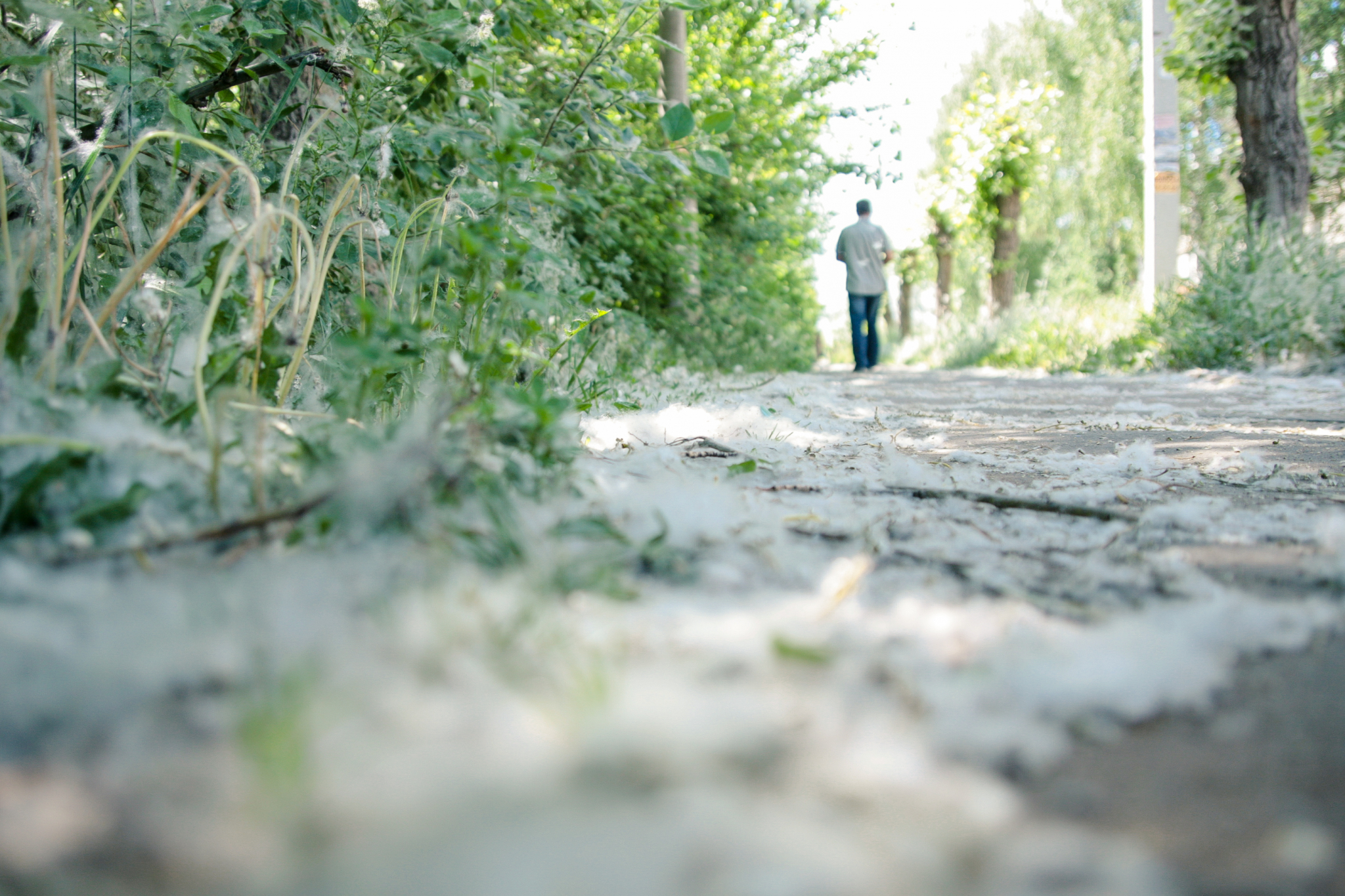 Аллерголог рассказала, что является переносчиком коронавируса в летний период