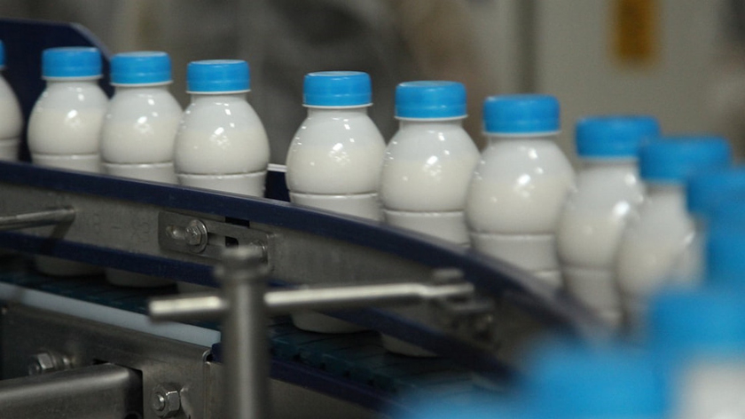 В Коми отложен срок введения обязательной маркировки молочной продукции