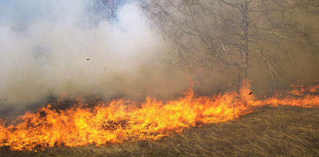 В двух населенных пунктах Коми горела сухая трава