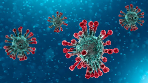 Треть россиян считают опасность эпидемии коронавируса преувеличенной или выдуманной