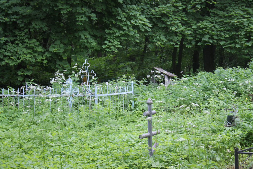 На кладбище "Куратово" в Ухте скосят траву и установят бункер