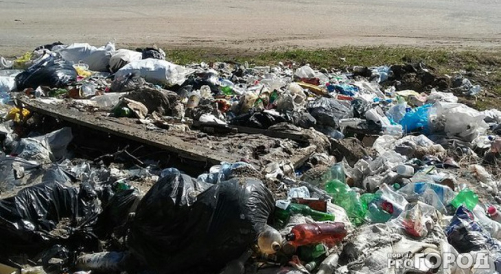 В Коми нашли место для завода по переработке мусора