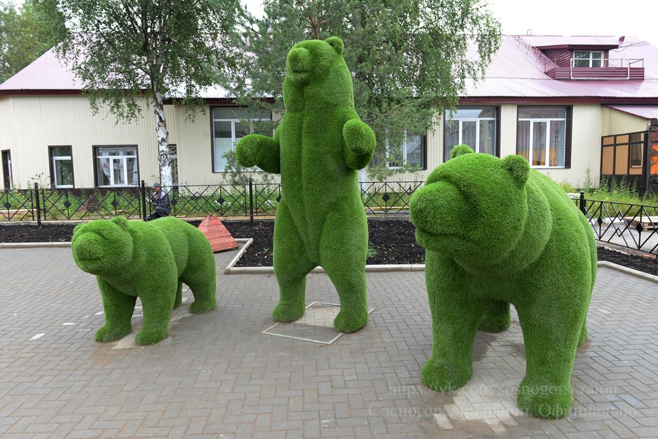В Сосногорске поселились три зеленых медведя