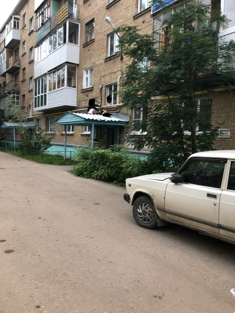 В МВД Ухты рассказали подробности о девушке, которая выпала из окна жилого дома