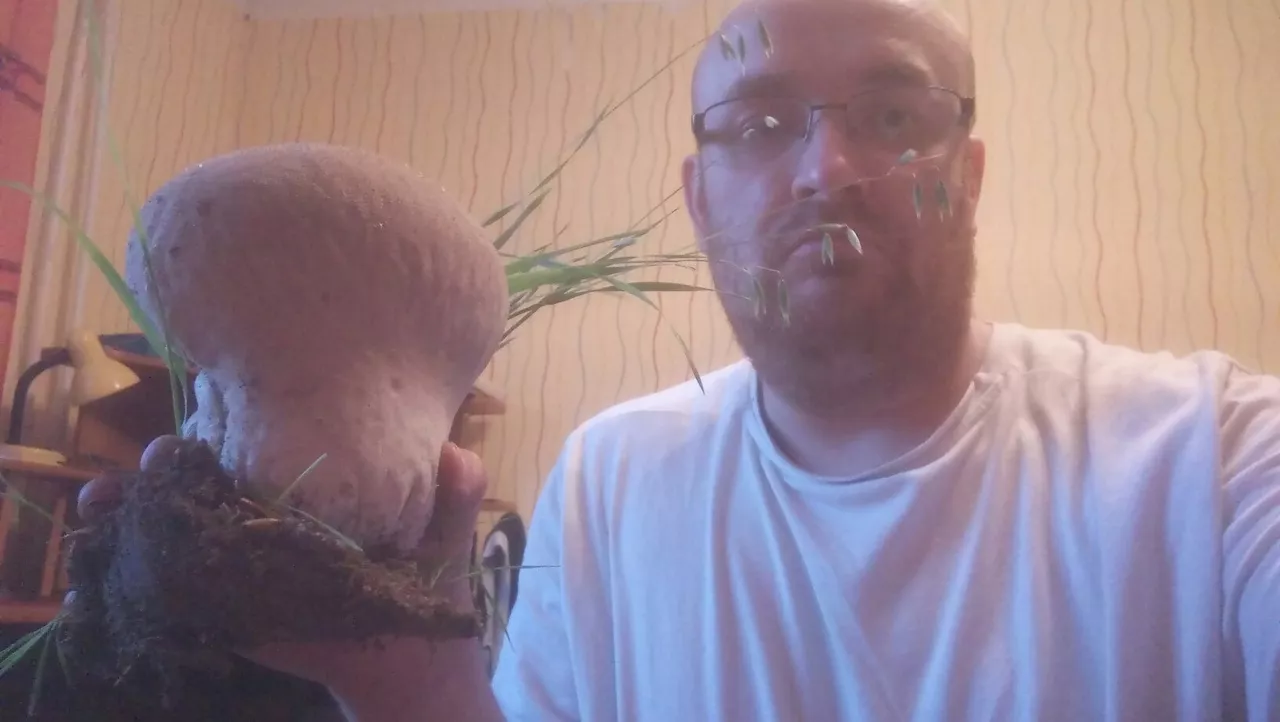 Фото к статье: Настоящий монстр: житель Ухты нашел в лесу огромный гриб