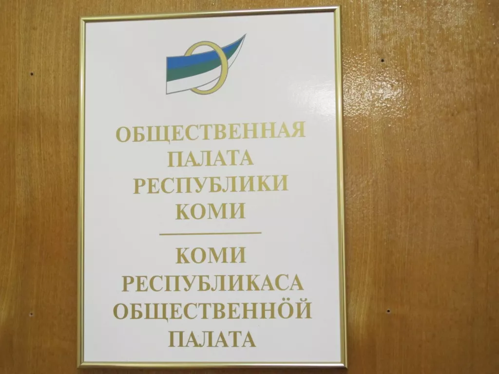 Фото к статье: Два члена Общественной палаты Коми ушли в отставку