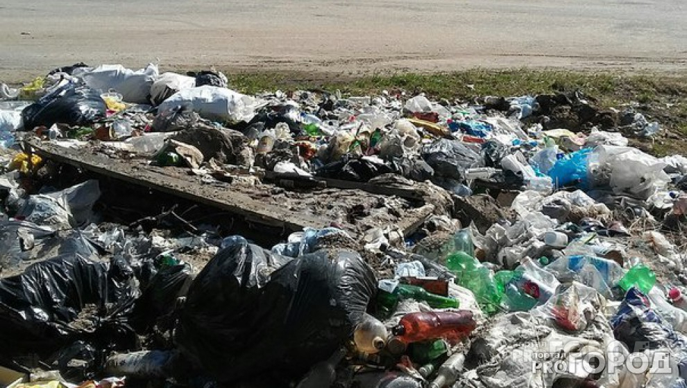 «Кто уберет мусор?»: в Коми ищут подрядчика на ликвидацию свалки
