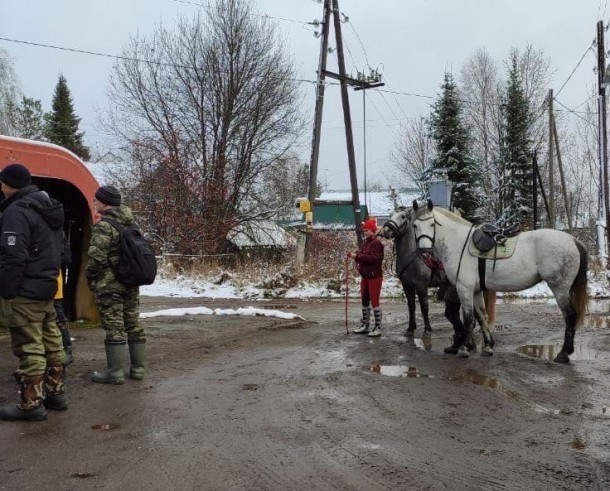 Волонтеры "Лиза Алерт Коми" начали развивать конное направление поисков