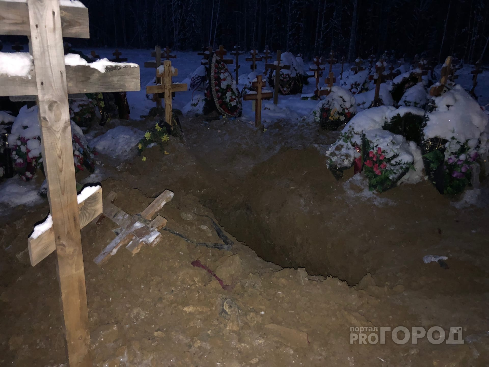 Пятница 13-е: медведь в Ухте раскопал могилу и утащил покойницу в лес