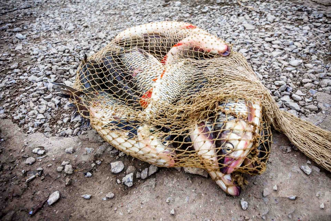 В Коми задержали браконьеров, ловивших рыбу в национальном парке