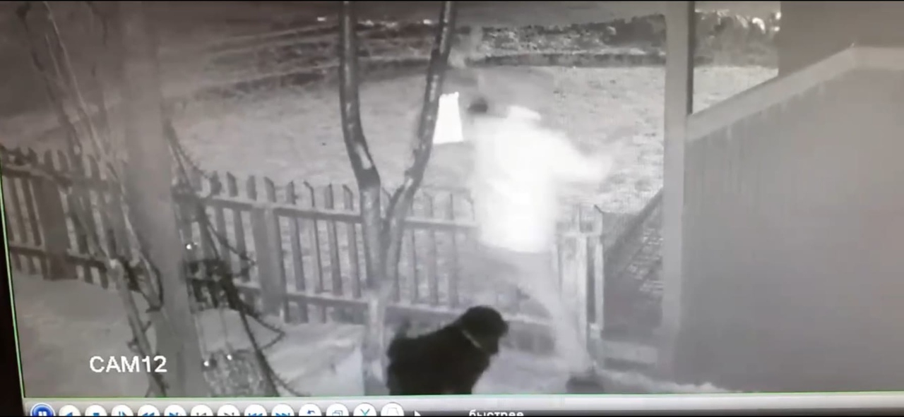Ухтинский Гринч: мужчина укравший снеговика в Ухте попался на камеры